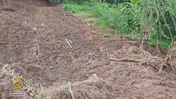 Nepal hit by deadly floods after days of heavy monsoon rains News Clip