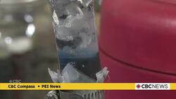 These P.E.I. researchers are using sawdust to clean dirty water News Clip
