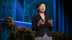 TED: Can the US and China take on climate change together? | Changhua Wu Instructional Video