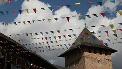 Carnival celebrate banner party flags Stock Footage