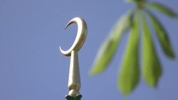 Shah Jahan Mosque and landscaped gardens News Clip