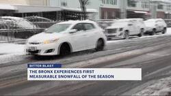 Heavy snow brings down power lines in Castle Hill News Clip