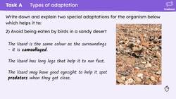 Adaptations of predators and prey Instructional Video