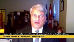 Why one Conservative MP is urging his former opponent to run for the party's top job News Clip