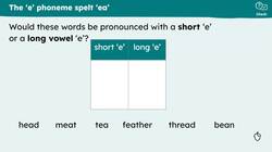 Spelling the 'e' phoneme with 'ea' and the 'ch' phoneme using 'tch' Instructional Video