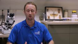 How to Avoid Hotel Bed Bugs Instructional Video