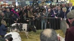 CLEAN : French far-right leader calls on Macron to declare presidential aims News Clip