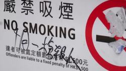 CLEAN : FILE: Fugitive Hong Kong protester who survived shooting captured News Clip