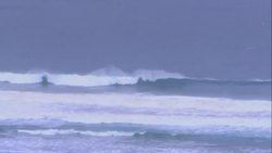 The Great Sardine Run: Learn about the sardine run Instructional Video