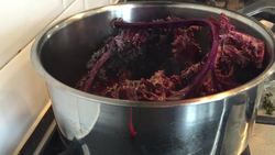 How to make a red cabbage indictor Instructional Video