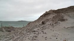 CLEAN : Climate change puts Falkland's unique wildlife at risk News Clip