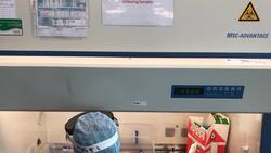 Stock footage of Covid-19 testing News Clip