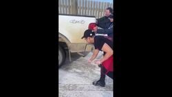 When you really need your Timmies, but get stuck in an icy drive-thru News Clip