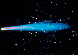 Halley Instructional Video