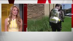 Should Canadian travellers be concerned about Zika? News Clip