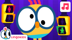 Crossing the Street (Pedestrian Traffic Lights) Instructional Video