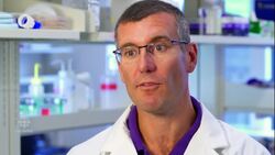 Low-carb diets can shorten life expectancy: study News Clip