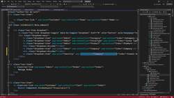 The Complete Guide to ASP.NET Core MVC (.NET 6) - Hide Roles from Registration Instructional Video
