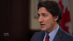 Allies 'increasingly concerned' about Israel's tactics, Trudeau says News Clip