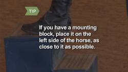How to Mount a Horse Instructional Video