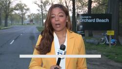 Heading to a Bronx beach today? Here's why you need to stay out of the water News Clip