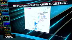 Pakistan Sees Economic, Health Emergency in Flood's Wake News Clip