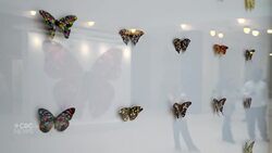 A look at Union Station’s new exhibits celebrating 7 Black artists News Clip