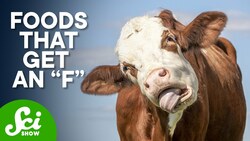 New Research to Help You Choose Eco-Friendly Foods | SciShow News Instructional Video