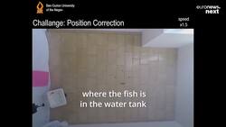 Israeli scientists have finally figured out a way to teach a fish how to drive. Yes, really. News Clip