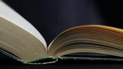 Old book pages turning in the wind Stock Footage