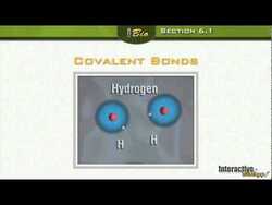Atoms and their Interactions - The Chemistry of Life Instructional Video