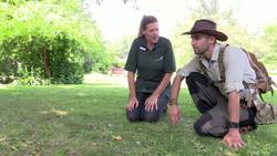 Happy Groundhog's Day! - Meet the Future Star of Groundhog's Day 2 Instructional Video