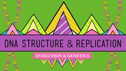 DNA Structure and Replication: Crash Course Biology Instructional Video