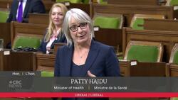 Opposition grills health minister over pandemic documents News Clip