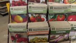 Tips on getting a head start on gardening season News Clip