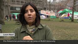 Pro-Palestinian protesters set up encampment at McGill University News Clip