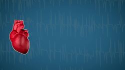 How Does it Work? - Lie Detector Instructional Video