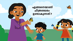 Lifecycycle of a butterfly - Malayalam Instructional Video