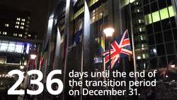 Brexit briefing: 236 days until the end of the transition period News Clip