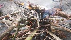 Beautiful red fire Stock Footage