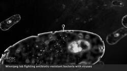 This Winnipeg biotech lab is using viruses to kill drug-resistant bacteria News Clip