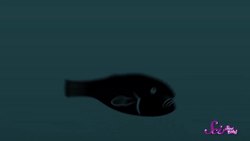 Blobfish: The World's Ugliest Animal | Biology for Kids | SciShow Kids Instructional Video