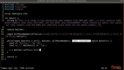 C++ Standard Template Library in Practice - Utilities - Regex Instructional Video
