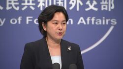 DAILY MOFA BRIEFING Instructional Video