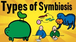 Symbiotic Relationships - Mutualism, Commensalism, Parasitism, Predation, Competition Instructional Video