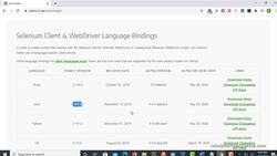 Important Note - Plan of Learning this Section Instructional Video