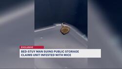 Bed-Stuy man says mice infestation at Brownsville storage unit has cost him thousands News Clip