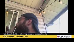 Surrey, B.C., cat eludes rescuers' net atop 25-metre tree News Clip