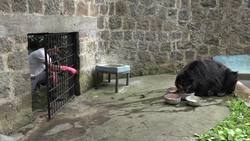 Donations pay for animal care at Colombian zoo Instructional Video