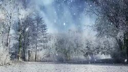 Winter Season Background Animation Stock Footage